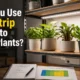 Learn when LED strip lights may help plants, why regular or RGB strips are not always enough, and what specs to check before choosing grow-light strips.